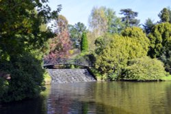 Sheffield Park Garden Wallpaper