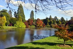 Sheffield Park Garden, Uckfield, Wallpaper