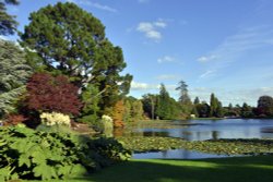 Sheffield Park Garden, Uckfield, Wallpaper