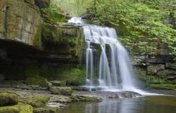 West Burton Falls Wallpaper