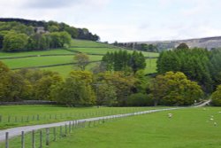 Bransdale near Helmsley Wallpaper