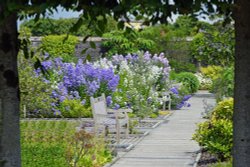 National Botanical Garden of Wales Wallpaper