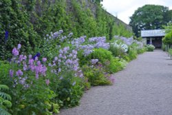 Aberglasney Garden Wallpaper