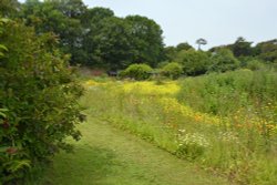Pembroke Coastal Path Wallpaper