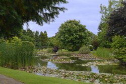 Burnby Hall Garden Wallpaper