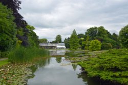 Burnby Hall Garden Wallpaper