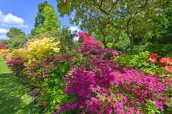 Stody Lodge Garden Wallpaper