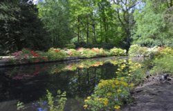 Stody Lodge Garden Wallpaper