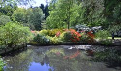 Stody Lodge Garden Wallpaper