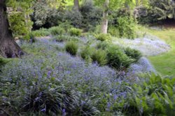 Blickling Hall Garden, Norfolk Wallpaper