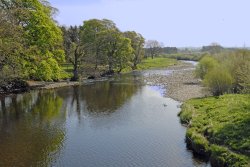 River Ure at Wensly Wallpaper