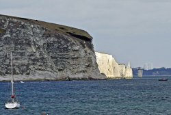 Old Harry Rocks Wallpaper