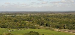 View from Corfe Castle Wallpaper