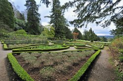 Tyntesfield House Garden Wallpaper