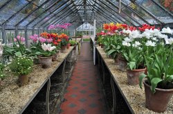Tyntesfield House Garden Wallpaper
