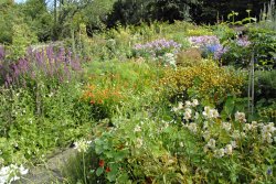 Sleightholmedale Lodge Garden, Fadmoor, North Yorkshire Wallpaper
