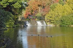 Sheffield Park Garden Wallpaper