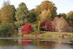 Sheffield Park Garden, Uckfield Wallpaper