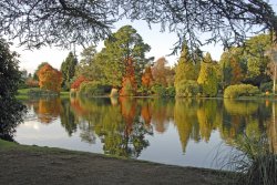 Sheffield Park Garden, Uckfield Wallpaper