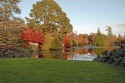 Sheffield Park Garden, Uckfield Wallpaper