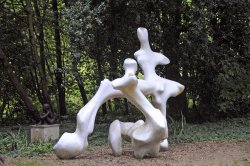 Abbotsbury Tropical Garden Wallpaper