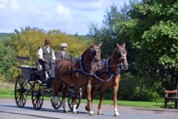 Beamish 1900's Town Wallpaper
