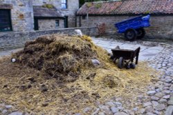 Beamish 1900's Town Wallpaper