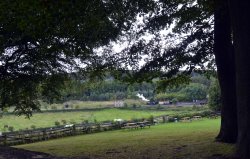 Beamish 1900's Town Wallpaper