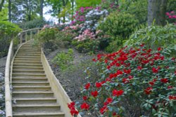 Himalayan Garden and Sculpture Park, near Ripon Wallpaper
