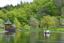 Himalayan Garden and Sculpture Park, near Ripon Wallpaper