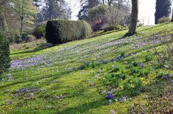 Forde Abbey, Somerset Wallpaper