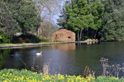 Forde Abbey, Somerset Wallpaper
