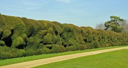 Barrington Court, Somerset Wallpaper
