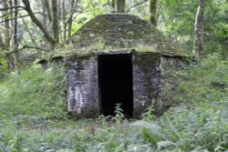 Newton House, Llandeilo - Ice House Wallpaper