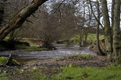 Sleightholmedale, Fadmoor, North Yorkshire Wallpaper
