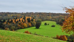 Surrey Hills from Polesden Lacey Wallpaper
