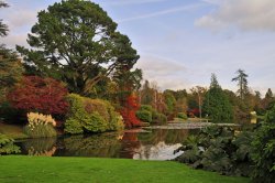 Sheffield Park Garden, Uckfield Wallpaper