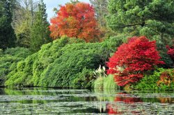 Sheffield Park Garden, Uckfield Wallpaper