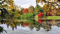 Sheffield Park Garden, Uckfield Wallpaper