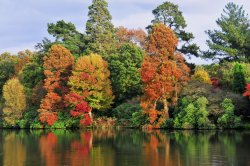 Sheffield Park Garden, Uckfield Wallpaper