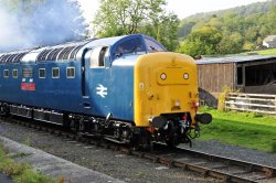 Wensleydale Railway passes Wensley Station Wallpaper