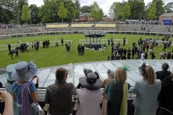 Royal Ascot - parade ring Wallpaper