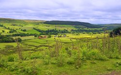 Bransdale near Helmsley Wallpaper