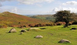 Dartmoor Wallpaper