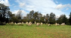 Rollright Stones Wallpaper
