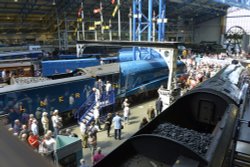 National Railway Museum in York - The Great Gathering of 6 A4 locomotives Wallpaper