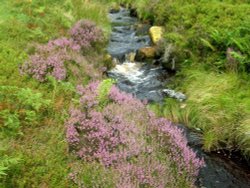 North York Moors Wallpaper