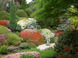 Leonardslee Garden, West Sussex Wallpaper