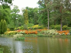 Leonardslee Garden, West Sussex Wallpaper