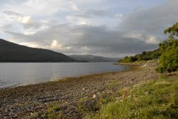 Loch Linnhe Wallpaper